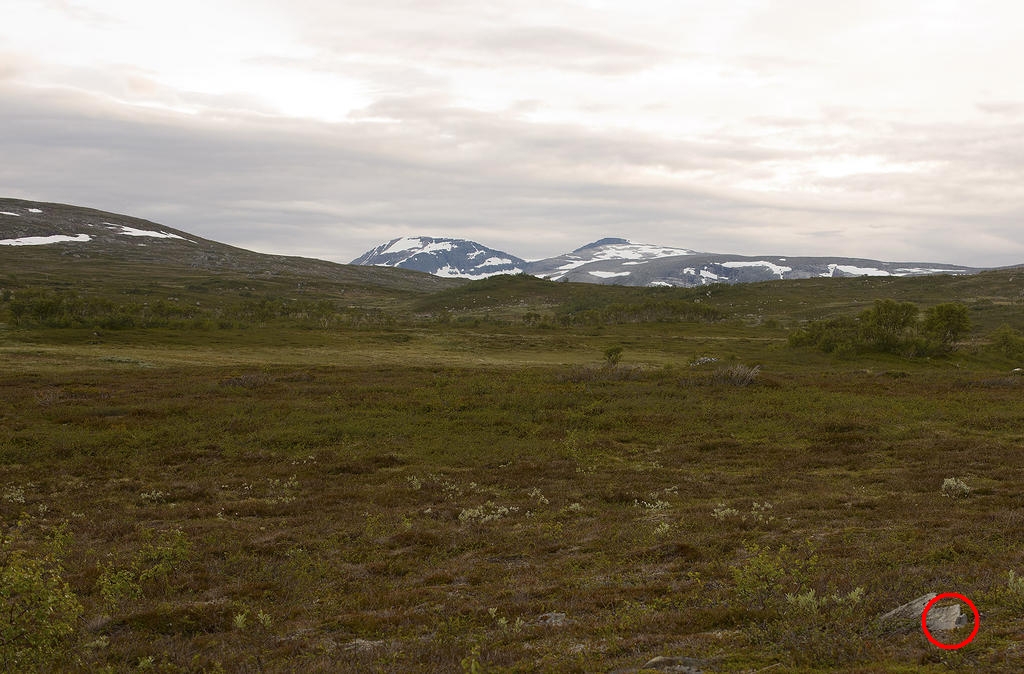 219648d1468419921-400-asa-not-akr_3012heldal-WB Target.jpg
