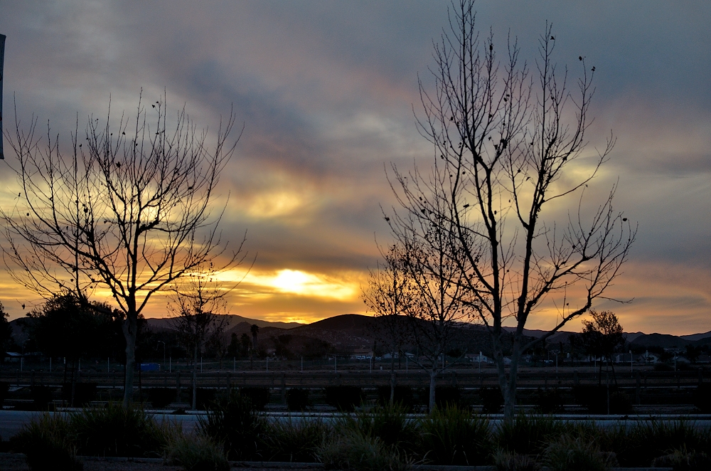 21st & 22nd Jan 2015 043.JPG