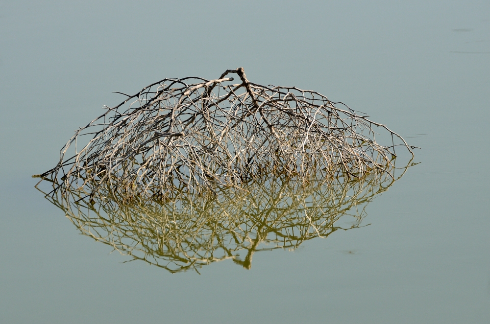 21st June 2015 222.JPG