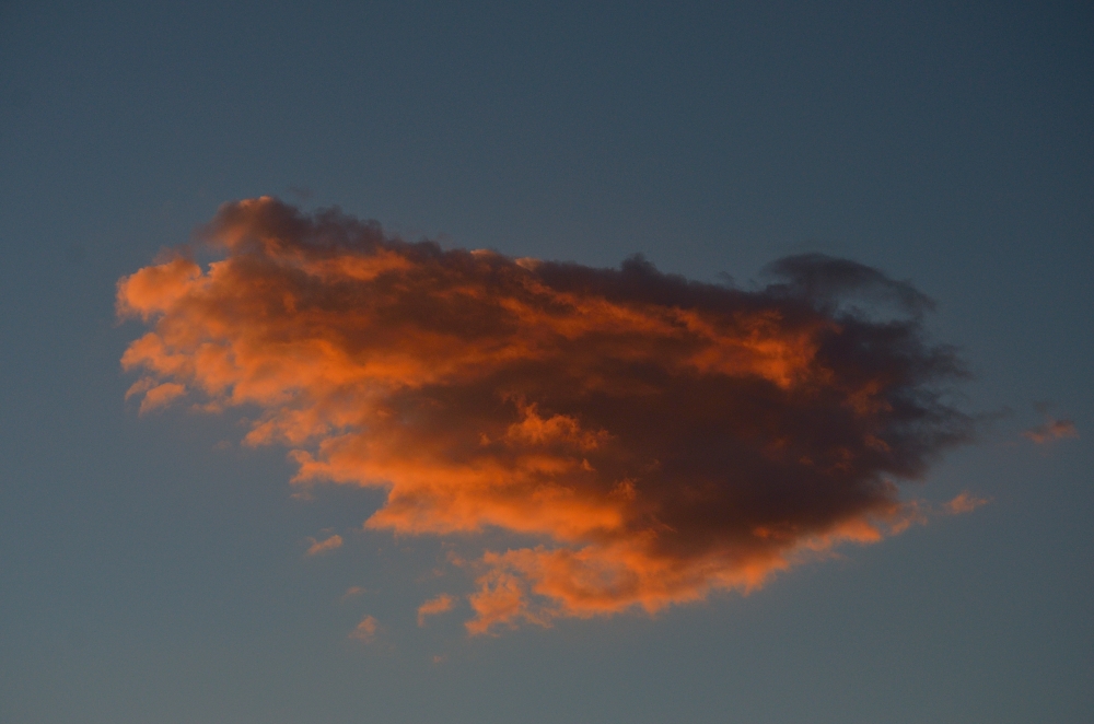 21st Oct 2015 019.JPG