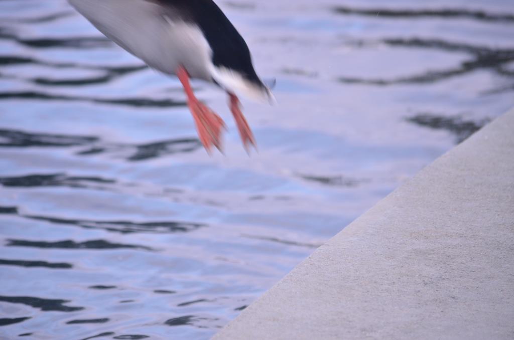 21st Sept 2013 026_043.jpg