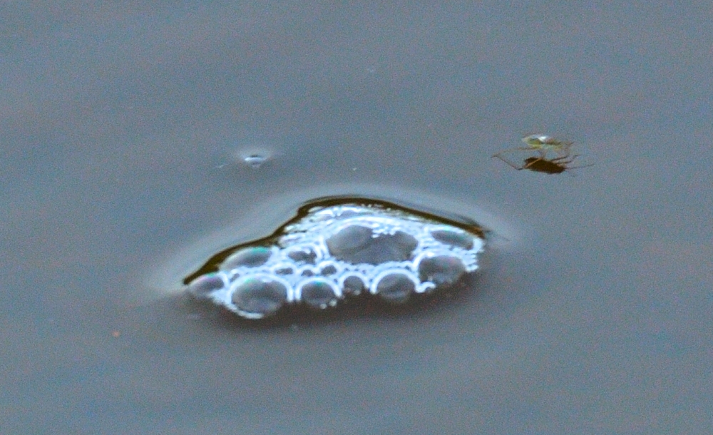 21st Sept 2015 010.JPG