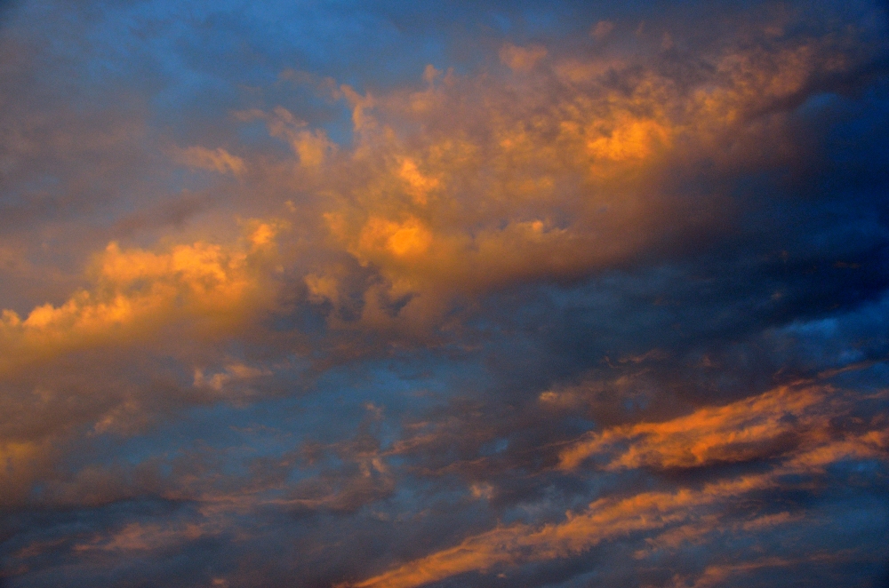 21st Sept 2015 021.JPG