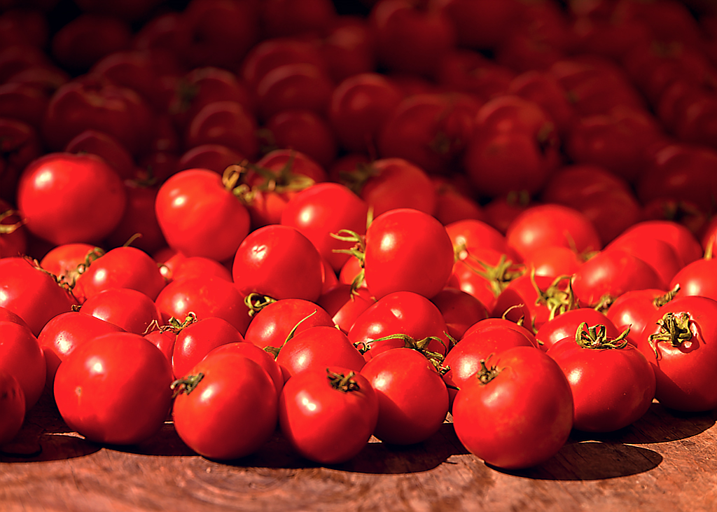 22 September 2015 - Summer Squash.jpg