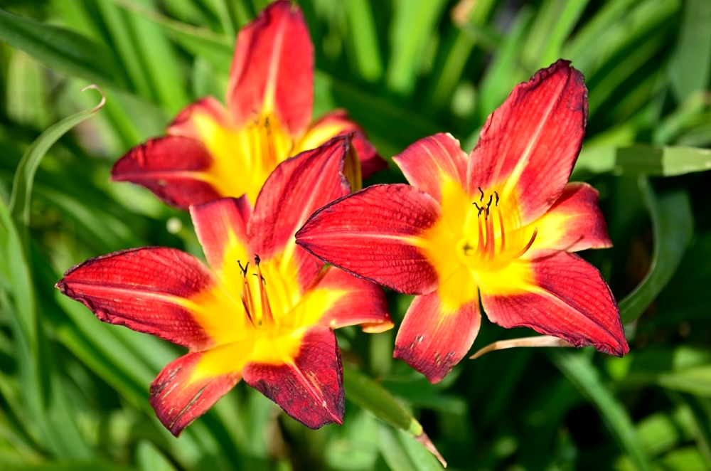 22nd Apr 2014 004.JPG