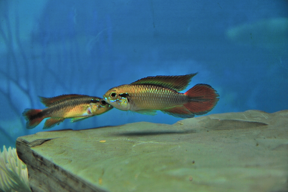 22nd Jan 2014 007.JPG