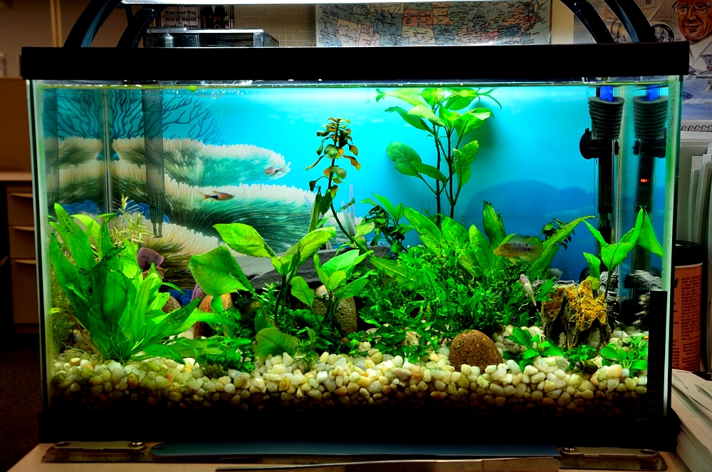 22nd  July 2014 011.JPG