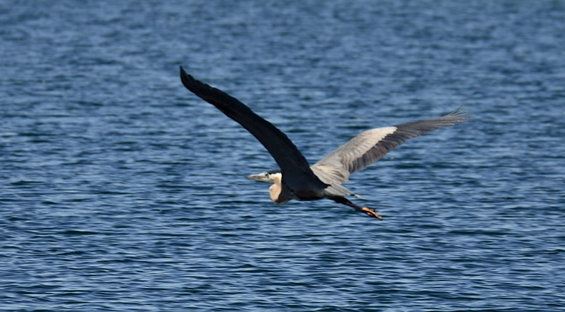 22nd June 2014 091.JPG