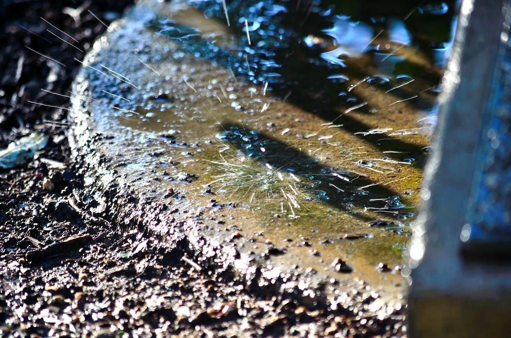 22nd Oct 2013 063.jpg