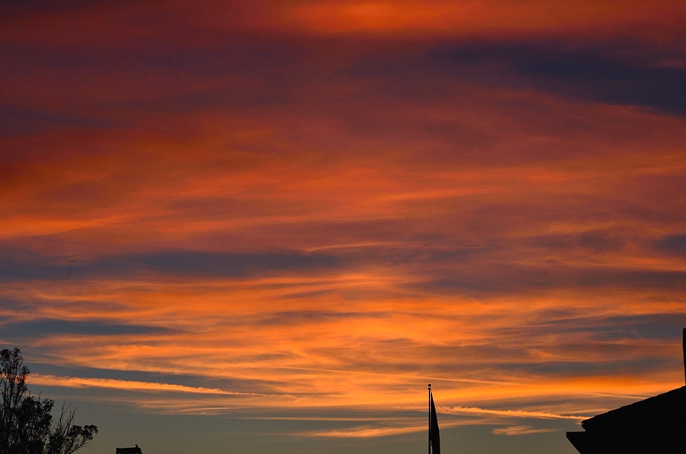 22nd Oct 2014 026.JPG