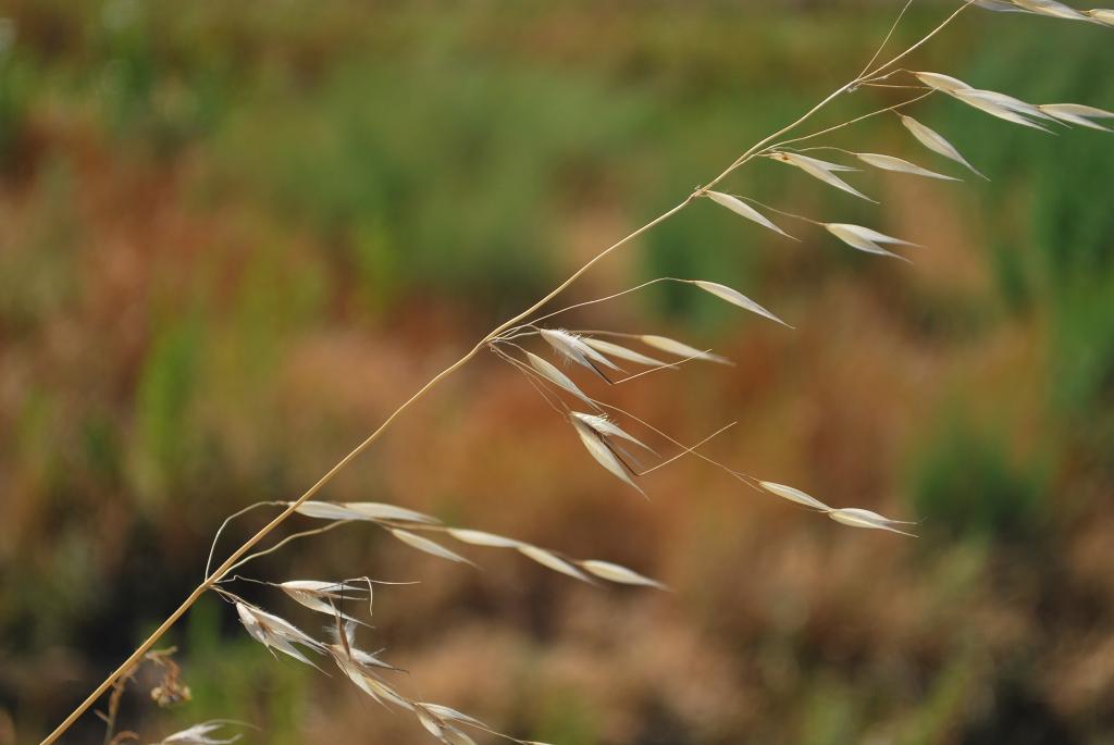 Blowing in the wind