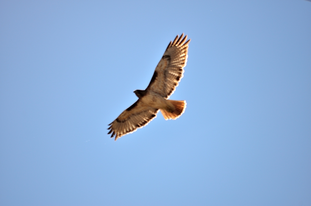 23rd Feb 2014 058.JPG
