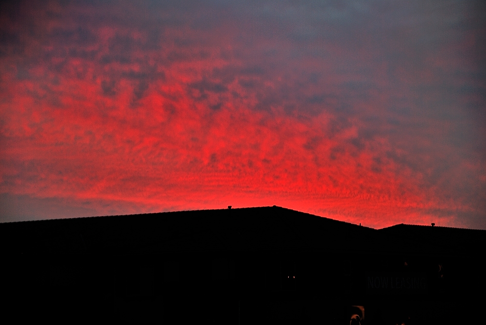 23rd Jan 2014 029.JPG