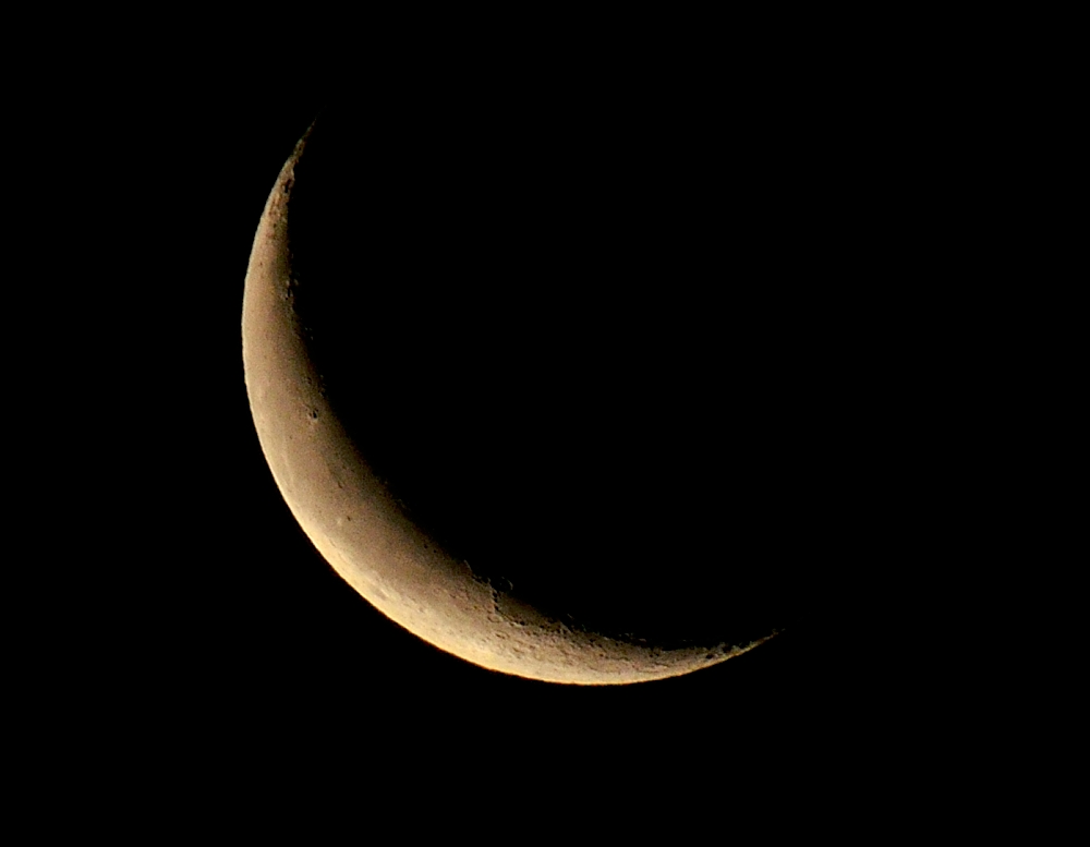 23rd June 2014 008.JPG