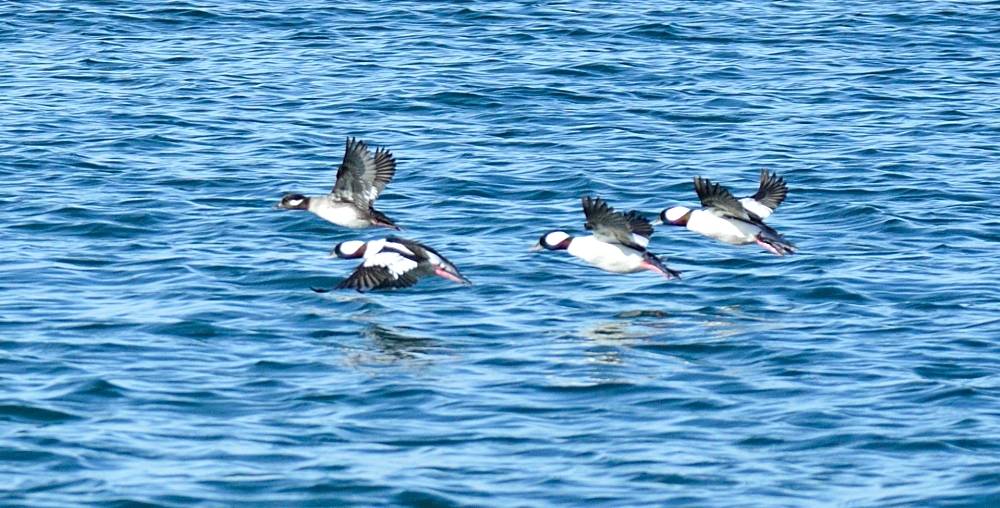 23rd Nov 2014 185.JPG