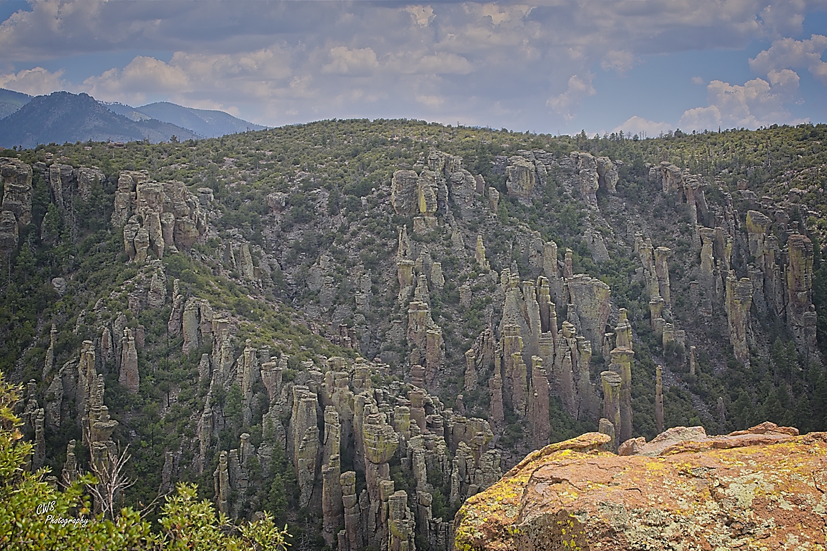 24-07-01_D504036_054_HDR--143322-ON1-CR.jpg