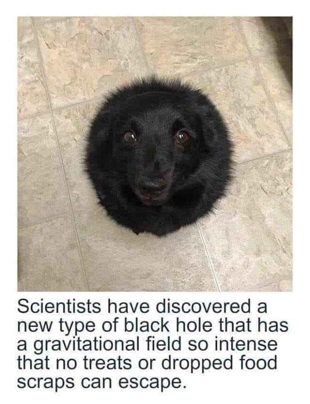 241622038_1047419239402796_7524648119855847869_n.jpg