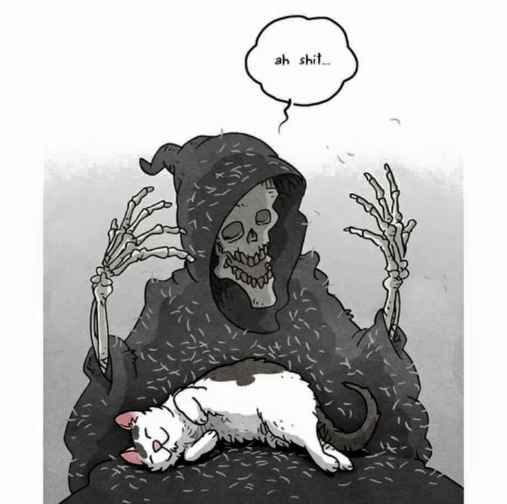 243c2a686c248b9c89b20858a1bde311--halloween-humor-cat-hair.jpg