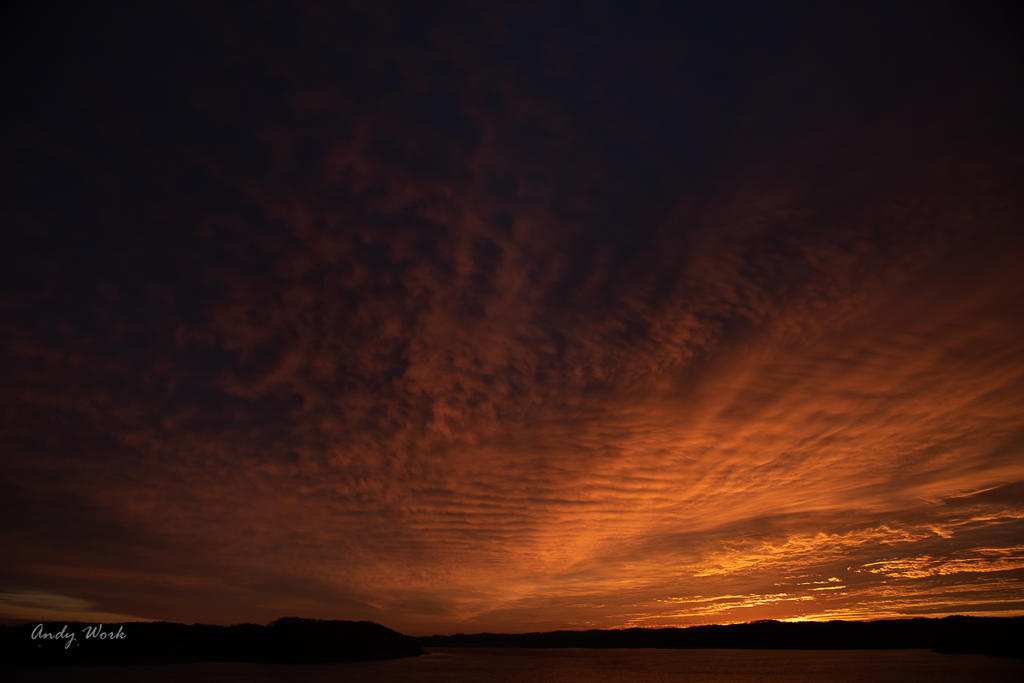 2441 SOOC.jpg