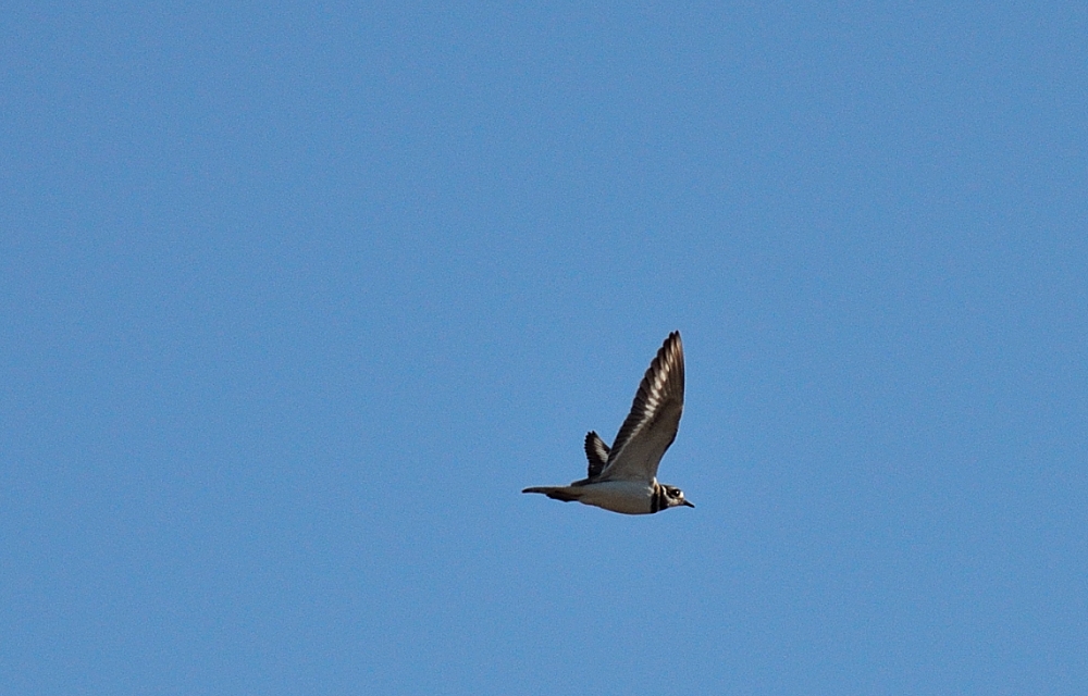 24th Aug 2014 047.JPG