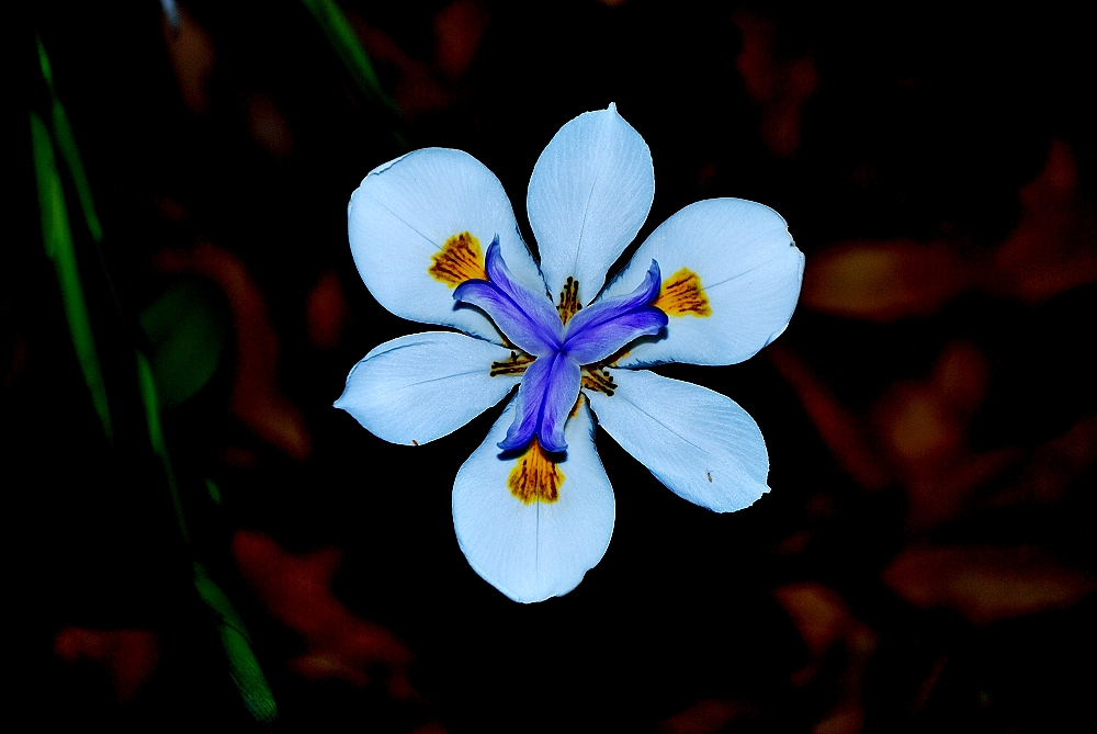 24th Feb 2014 023.JPG
