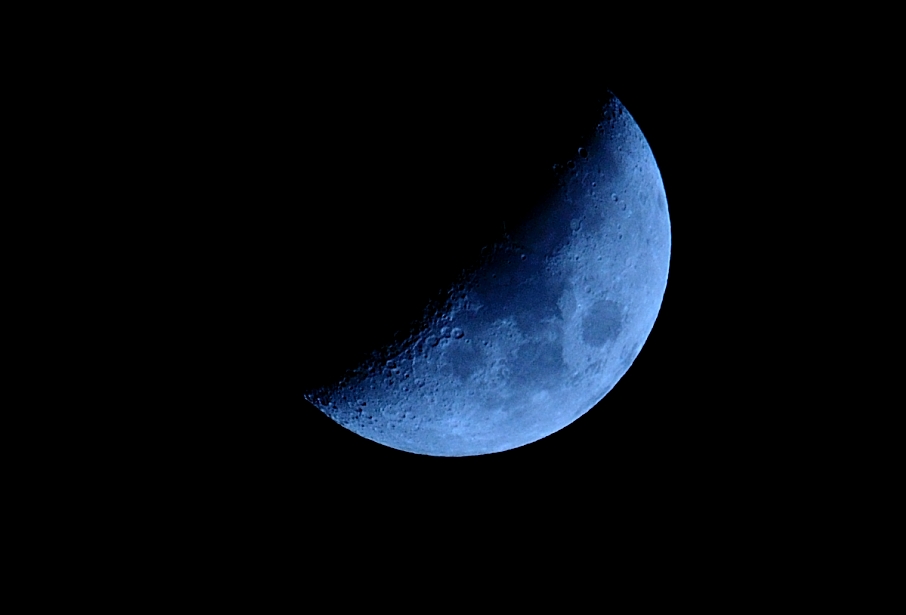 24th Feb 2015 017.JPG
