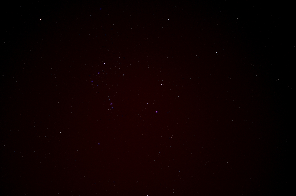 24th Jan 2015 074.JPG