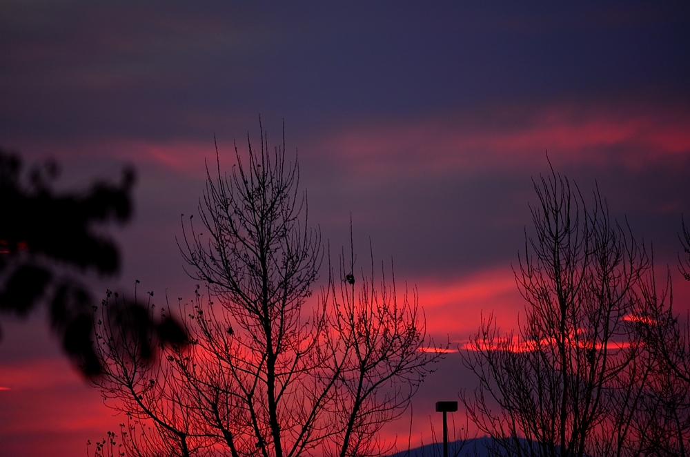 24th Mar 2014 021.JPG