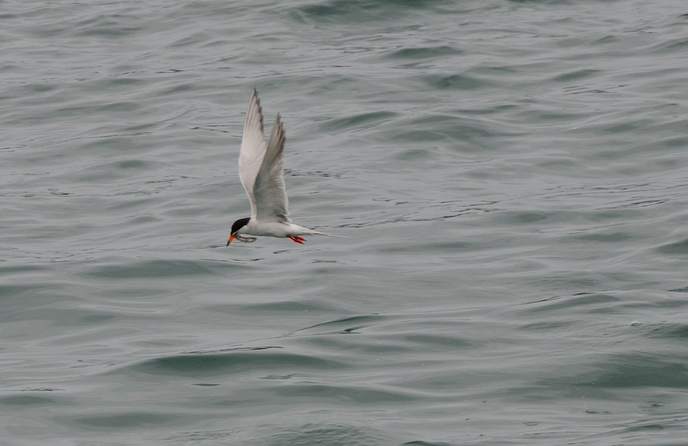 24th May 2015 022.JPG