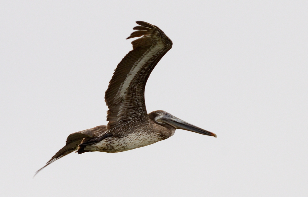 24th May 2015 083.JPG