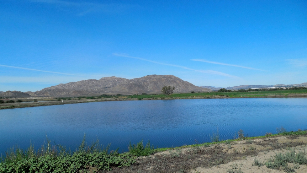24th Oct 2015 coolpix 044.JPG