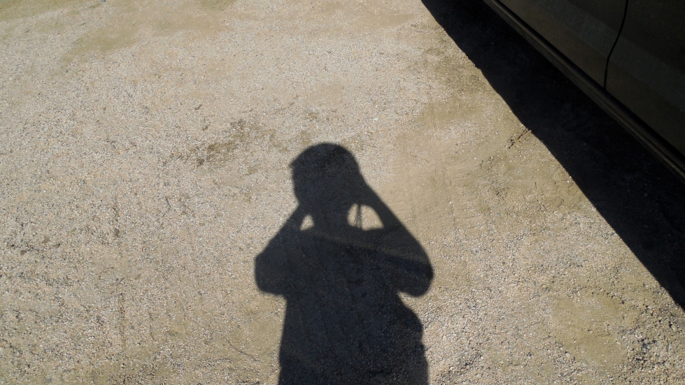 24th Oct 2015 coolpix 072.JPG