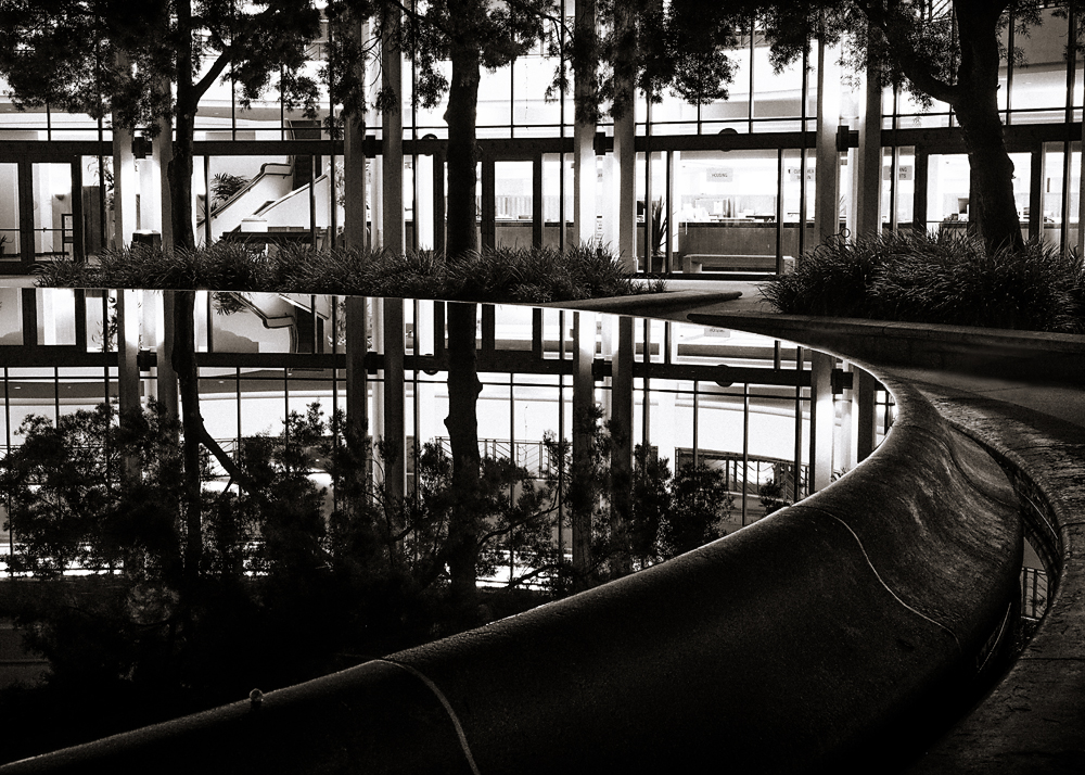 25 January 2016 - City Hall Fountain Reflection at Night.jpg