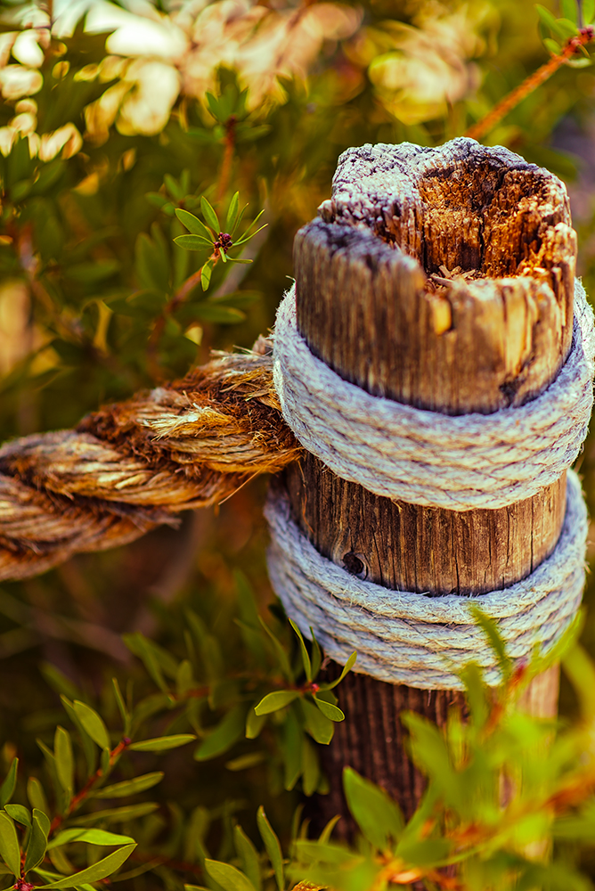 25 July 2015 - All Tied Up.jpg