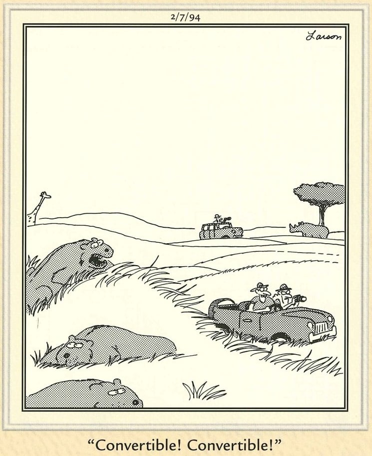 258269533_4391288277656011_5182596765610901098_n.jpg