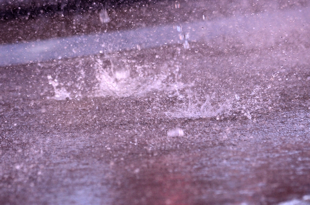 25th July 2015 129.JPG