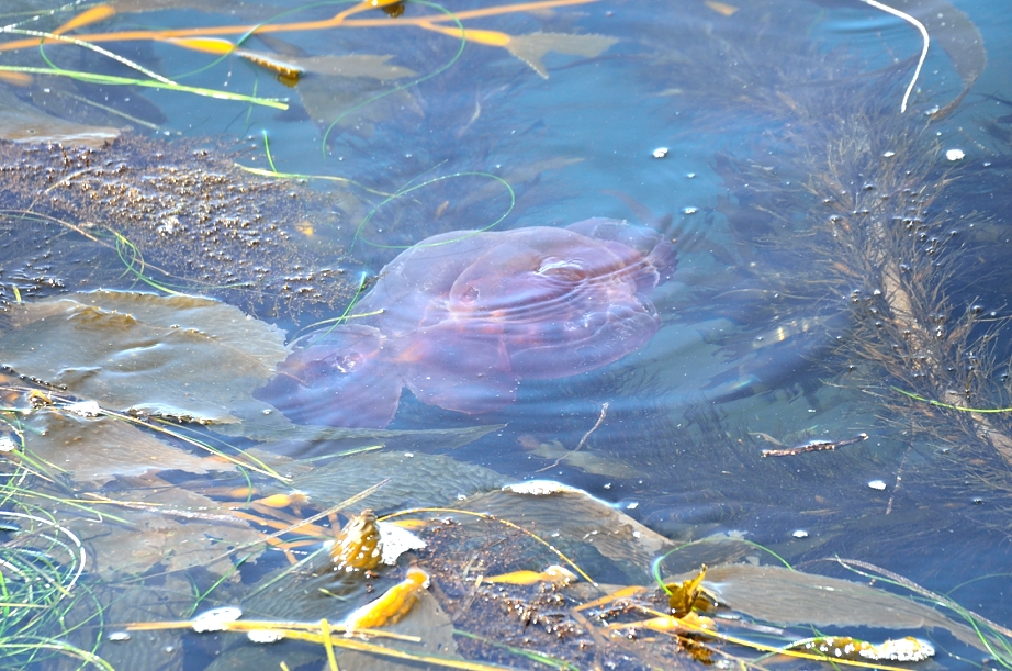 25th May 2014 039.JPG