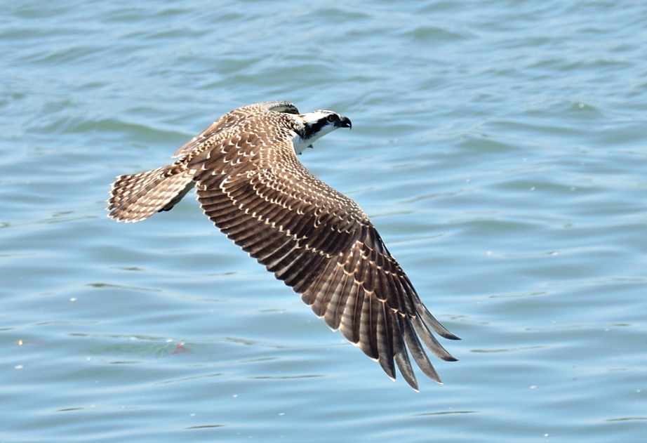 25th May 2014 084.JPG