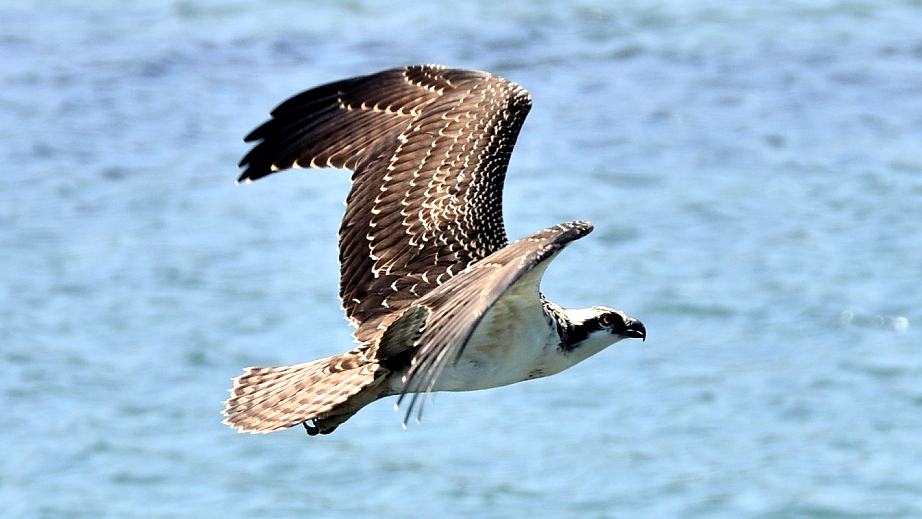 25th May 2014 085.JPG