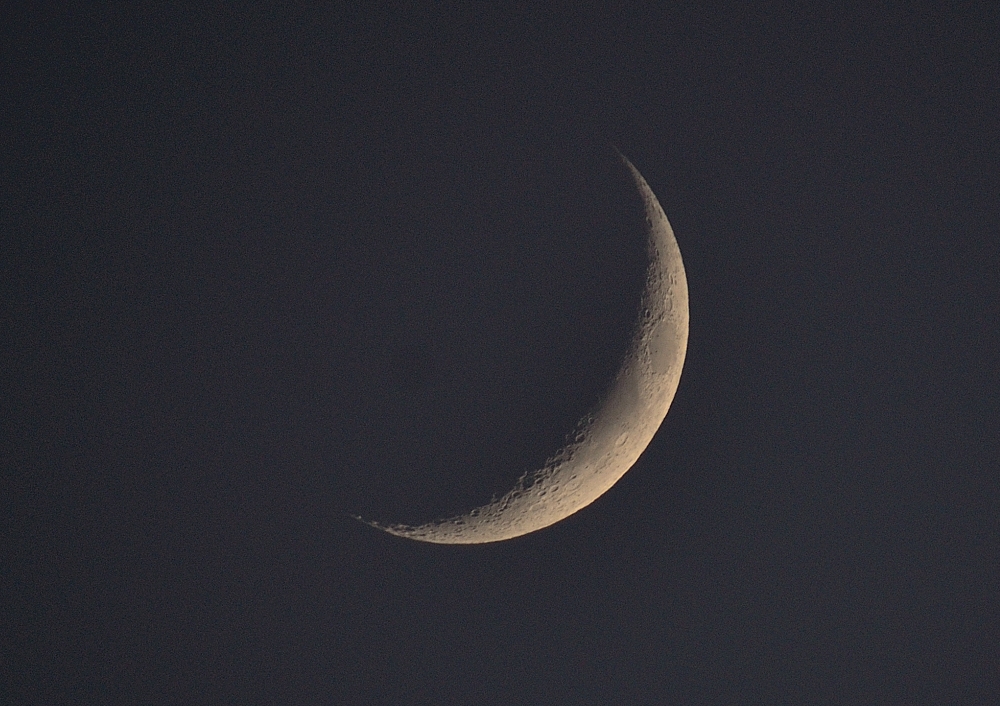 25th Nov 2014 012.JPG