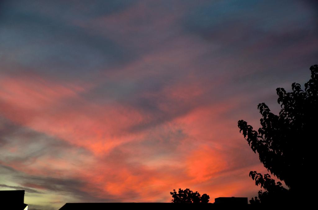 25th Oct 2013 043.jpg