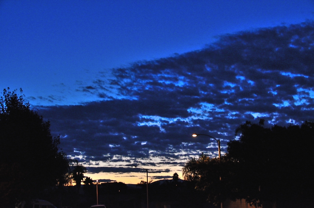 25th Oct 2014 001.JPG