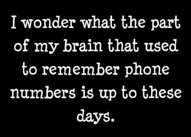 261454243_4696866210362018_4690879366883132601_n.jpg
