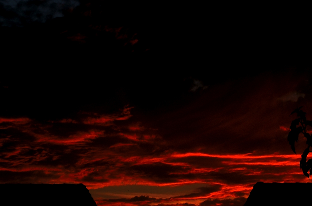 26th 27th  July 2014 096.JPG