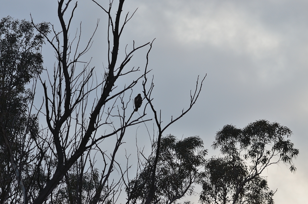 26th Feb 2014 002.JPG