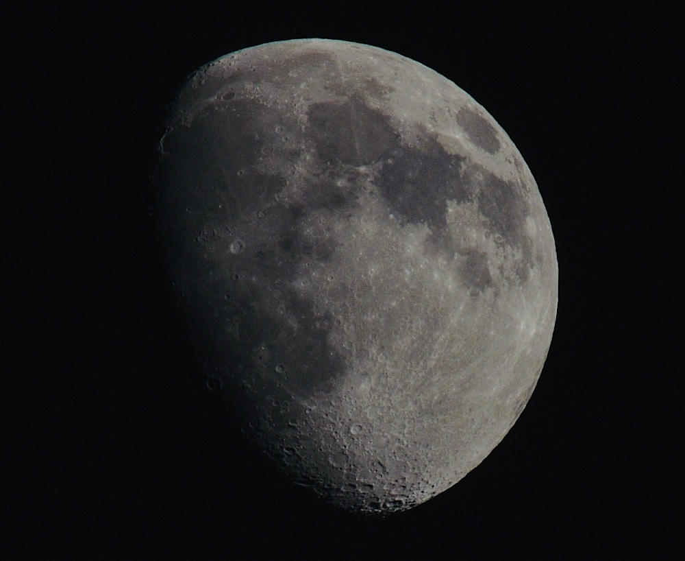 26th July 2015 026.JPG