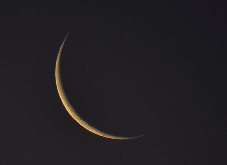 26th May 2014 004.JPG