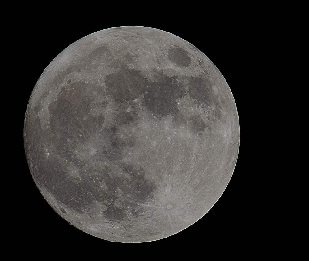 26th Oct 2015 009.JPG