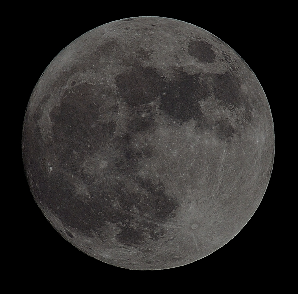 26th Oct 2015 012_01.JPG