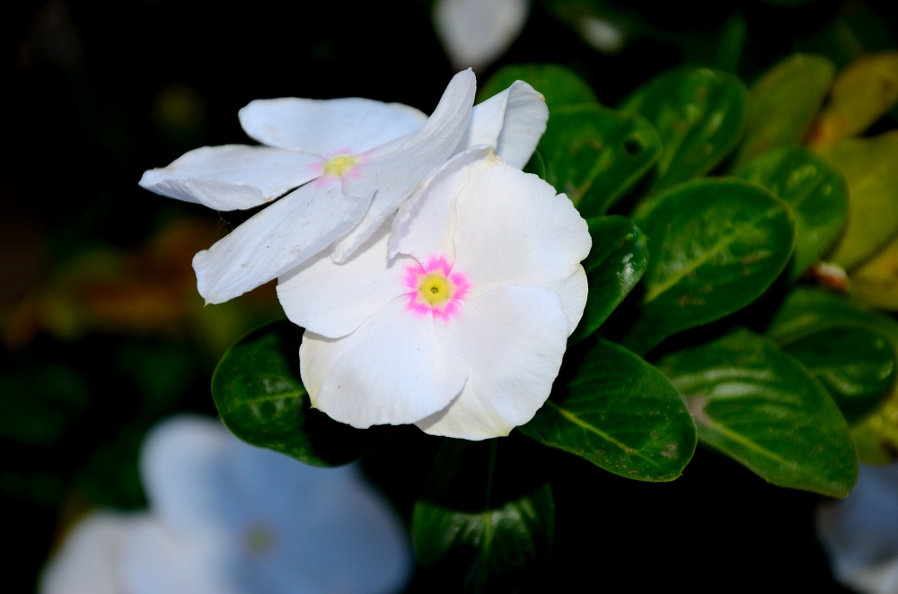 27-28th Apr 2015 002.JPG